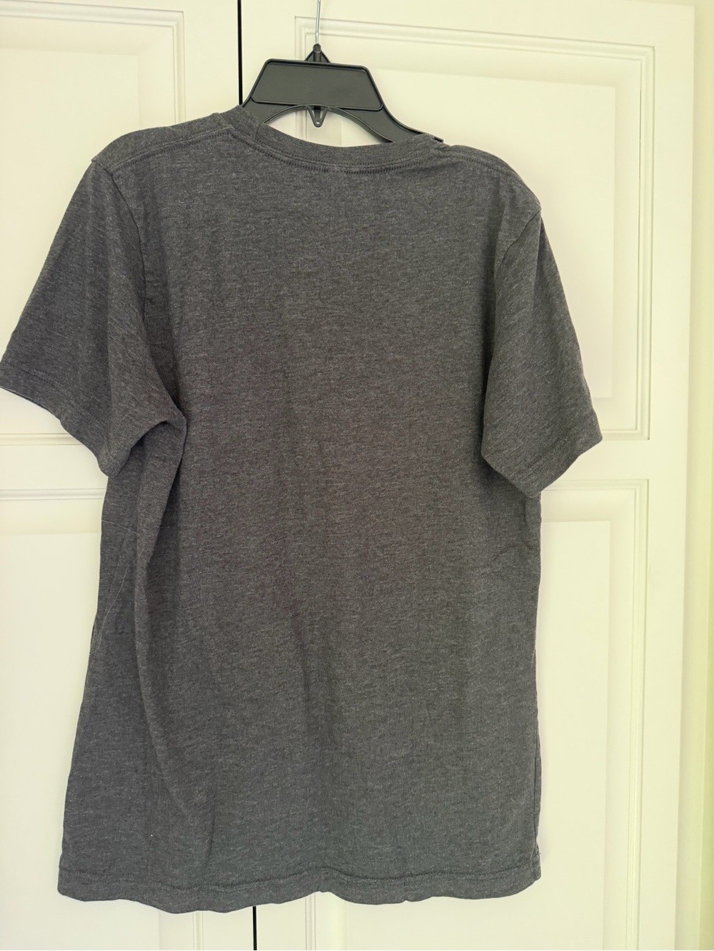 Bird 🐦 Lovers “Nice T*ts” Canvas Charcoal Gray Graphic Tee - Picture 5 of 5